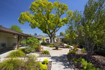 Pacific Plaza Hotels | Alameda, California | Garden area with trees and bench